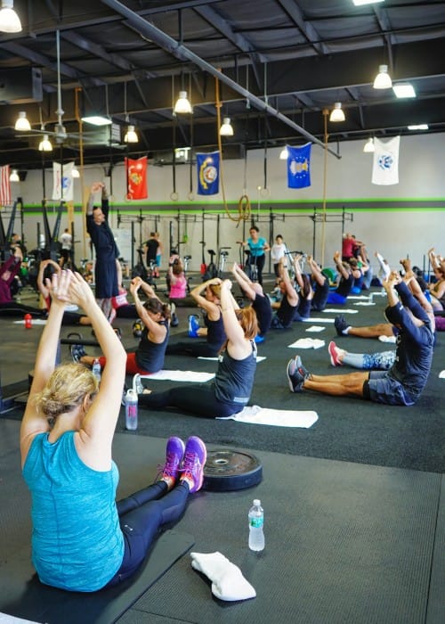 Yoga certification courses